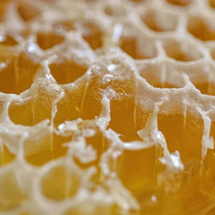 Omrub Cera Alba (Bees wax)